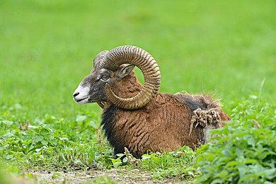 一战生存恐怖游戏《CONSCRIPT》7＆23推出