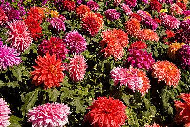 《战地2042》什么时候可以玩？抢先体验时间公布