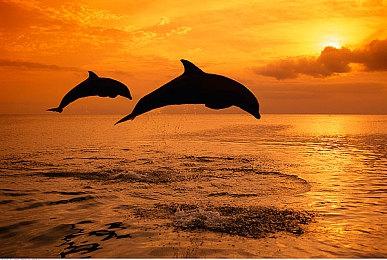 网飞计划打造自己的《GTA》 但可能是一个手游